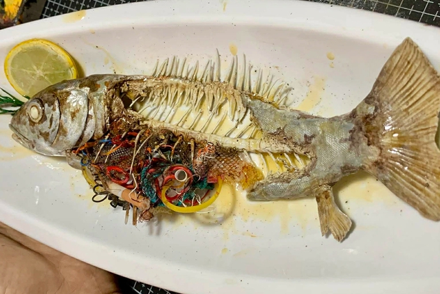 Chàng trai Đà Nẵng gây ấn tượng với mô hình động vật độc đáo bảo vệ môi trường - Ảnh 2. Chàng trai Đà Nẵng gây ấn tượng với mô hình động vật độc đáo bảo vệ môi trường - Ảnh 2.