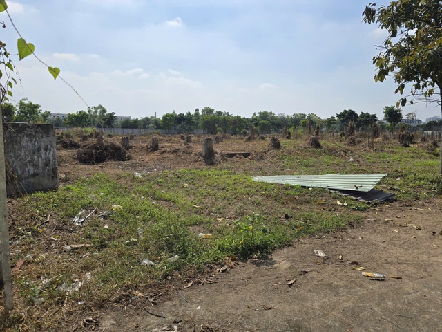 Để kh&ocirc;ng bị lừa khi mua b&aacute;n bất động sản, người d&acirc;n cần đọc những điều n&agrave;y- Ảnh 2.