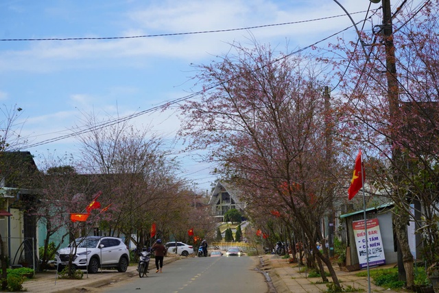 Tết tối giản của người trẻ - Ảnh 4.