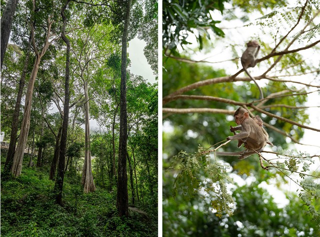 TTC World - T&agrave; C&uacute;: Điểm đến sinh th&aacute;i t&acirc;m linh v&agrave; văn h&oacute;a đặc sắc- Ảnh 5.
