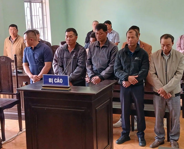 Nhận hối lộ, 3 nh&acirc;n vi&ecirc;n bảo vệ rừng bị phạt t&ugrave;- Ảnh 1.