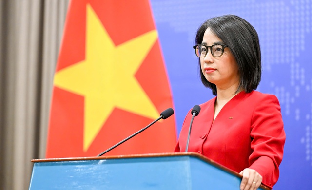 Việt Nam sẽ phối hợp để triển khai kế hoạch của Hội đồng hòa bình- Ảnh 1. Việt Nam sẽ phối hợp để triển khai kế hoạch của Hội đồng hòa bình- Ảnh 1.