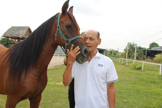 Trang trại ngựa qu&yacute; tr&ecirc;n đất T&acirc;y Ninh- Ảnh 1.