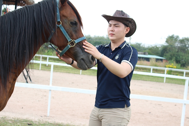 Trang trại ngựa qu&yacute; tr&ecirc;n đất T&acirc;y Ninh- Ảnh 5.