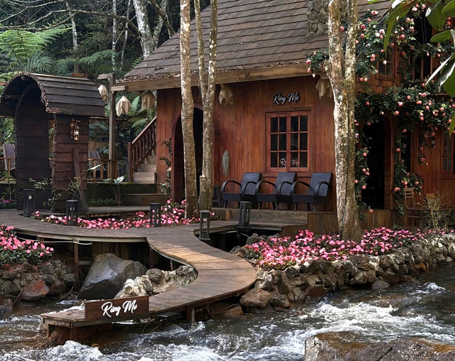 Hấp dẫn… Rừng Mơ- Ảnh 2. Hấp dẫn… Rừng Mơ- Ảnh 2.