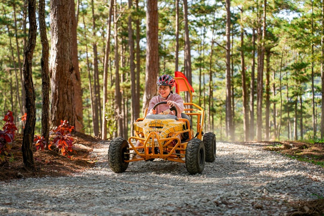 Dalattourist: Nửa thế kỷ bền bỉ khơi nguồn s&aacute;ng tạo, c&ugrave;ng L&acirc;m Đồng vươn m&igrave;nh rạng rỡ- Ảnh 8.