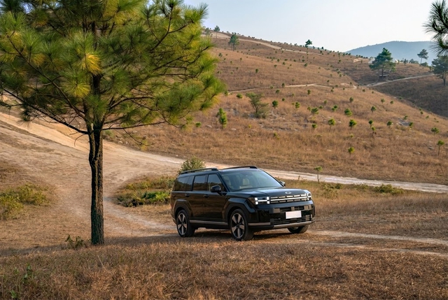 - Ảnh 1. - Ảnh 1.