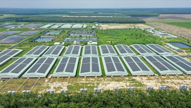 BAF Việt Nam: Cơ hội 'lội ngược d&ograve;ng' sau chu kỳ biến động  của ng&agrave;nh chăn nu&ocirc;i- Ảnh 3.