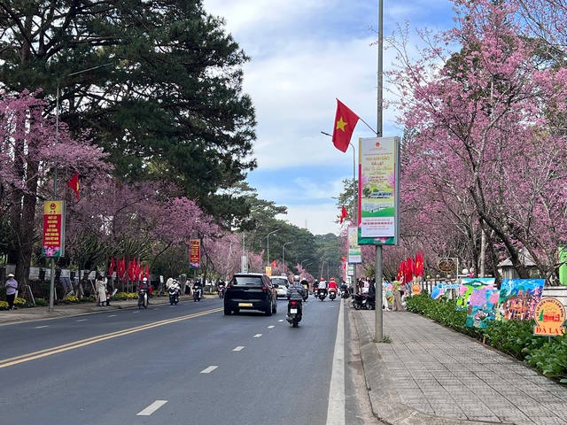 &Acirc;m vang sắc hồng tại Lễ hội hoa mai anh đ&agrave;o 2026 ở Vạn Th&agrave;nh Đ&agrave; Lạt - Ảnh 5.