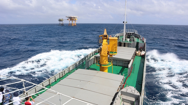 Kh&ocirc;ng kh&iacute; Tết B&iacute;nh Ngọ 2026 rộn r&agrave;ng tại TP . HCM v&agrave; c&aacute;c nh&agrave; gi&agrave;n DK1 - Ảnh 1.