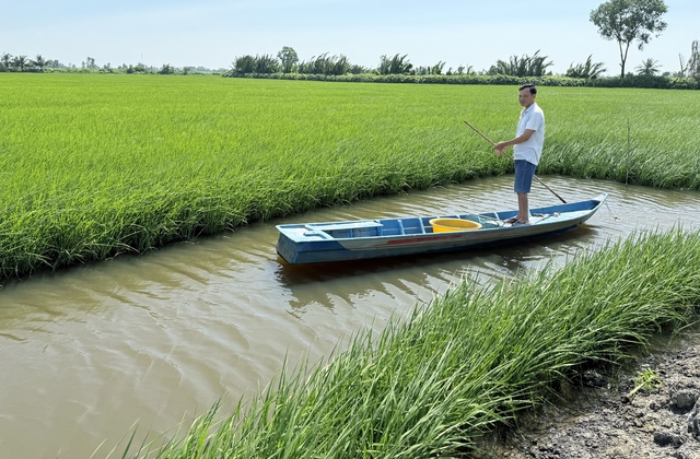 Kỳ t&iacute;ch &ldquo;b&iacute; thư l&uacute;a&rdquo; - Ảnh 4.