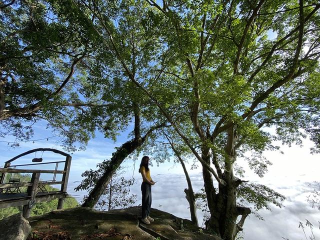 Về miền Tây ăn tết 'trên mây'- Ảnh 3. Về miền Tây ăn tết 'trên mây'- Ảnh 3.