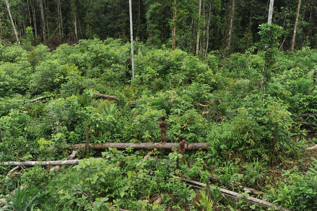 Trong cõi không ở nơi tận cùng thế giới - Ảnh 10. Trong cõi không ở nơi tận cùng thế giới - Ảnh 10.