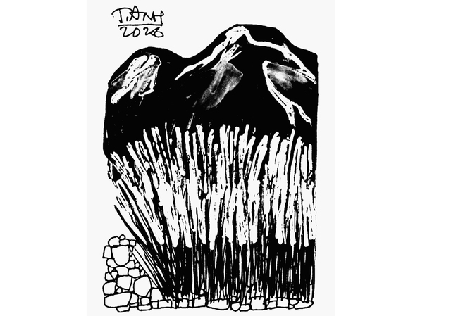 Lau trắng - Thơ của Nguyễn Đức Phú Thọ- Ảnh 1. Lau trắng - Thơ của Nguyễn Đức Phú Thọ- Ảnh 1.