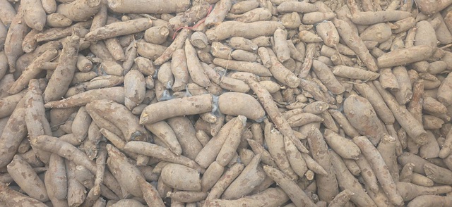 Phó Thủ tướng chỉ đạo khẩn gỡ vướng mắc thông quan nông sản tại Tây Ninh - Ảnh 2.