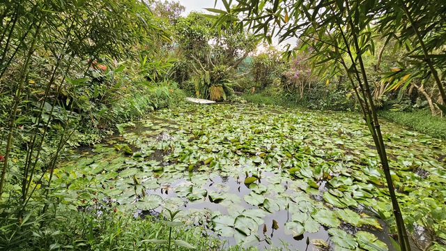 Đ&agrave; Lạt t&igrave;m dấu vườn xưa - Ảnh 3.