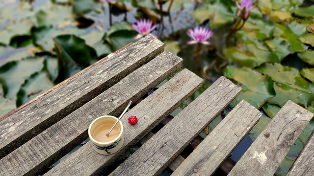 Đ&agrave; Lạt t&igrave;m dấu vườn xưa - Ảnh 4.