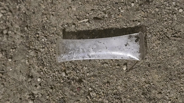 Đột kích tụ điểm sử dụng ma túy trong đêm tại vườn cây cảnh- Ảnh 2. Đột kích tụ điểm sử dụng ma túy trong đêm tại vườn cây cảnh- Ảnh 2.