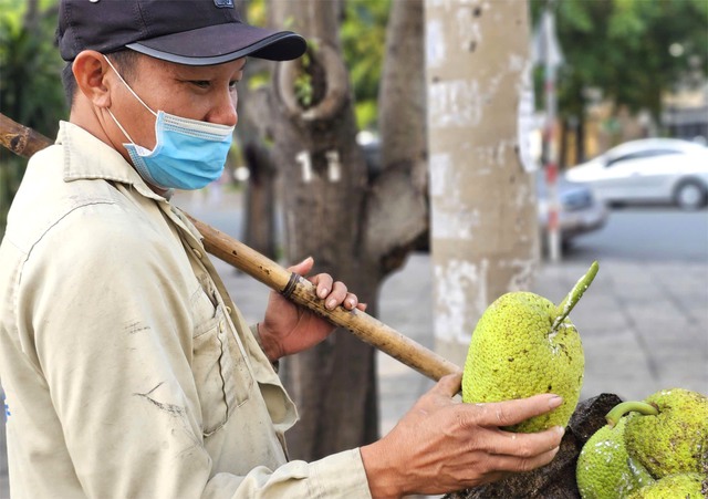 Chuyện mưu sinh của người đàn ông hái sa kê: 'Nguyện vọng thấy con trưởng thành' - Ảnh 7.