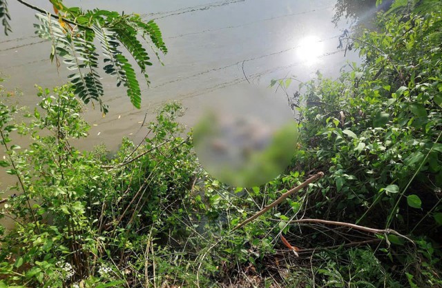 Vụ bé gái 13 tuổi bị sát hại: Lời khai ban đầu của nghi phạm- Ảnh 1. Vụ bé gái 13 tuổi bị sát hại: Lời khai ban đầu của nghi phạm- Ảnh 1.