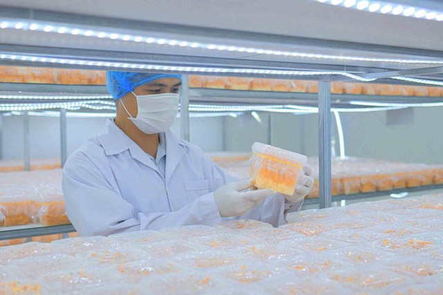 Thạc sĩ làm nông thời công nghệ: Thiết kế khí hậu để nuôi trồng nấm... khó tính- Ảnh 2.