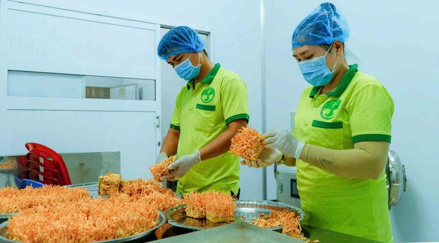 Thạc sĩ làm nông thời công nghệ: Thiết kế khí hậu để nuôi trồng nấm... khó tính- Ảnh 3.