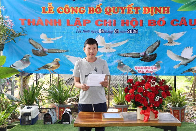 Bồ câu đưa thư 40 phút từ Tây Ninh đến TP.HCM trong ngày đặc biệt - Ảnh 2.