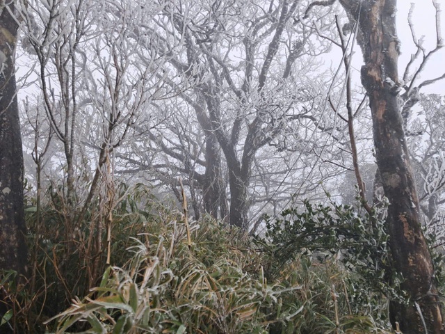 Băng gi&aacute; phủ trắng đỉnh n&uacute;i Phja Oắc ở Cao Bằng- Ảnh 3.