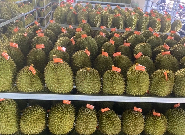 Trả lương, thu&ecirc; nh&agrave; từ 5 triệu phải chuyển khoản mới được trừ khi t&iacute;nh thuế- Ảnh 2.