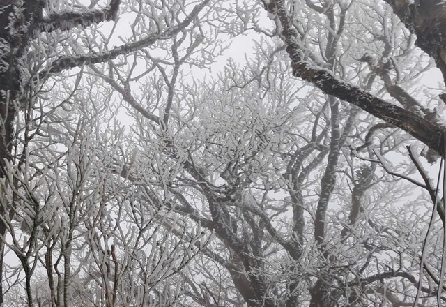 Miền Bắc ch&igrave;m trong r&eacute;t đậm, r&eacute;t hại, v&ugrave;ng n&uacute;i cao dưới 3 độ C - Ảnh 1.