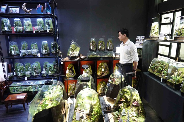 Bác sĩ Đỗ Lê Thiên Hà và chuỗi terrarium lớn nhất Cần Thơ cho giới trẻ - Ảnh 1. Bác sĩ Đỗ Lê Thiên Hà và chuỗi terrarium lớn nhất Cần Thơ cho giới trẻ - Ảnh 1.