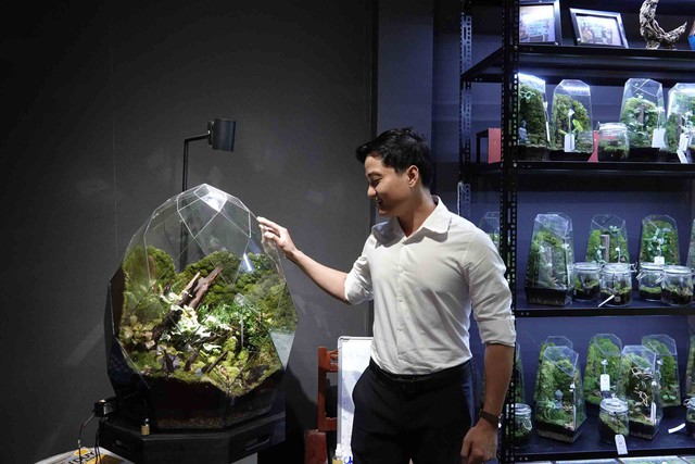 Bác sĩ Đỗ Lê Thiên Hà và chuỗi terrarium lớn nhất Cần Thơ cho giới trẻ - Ảnh 4. Bác sĩ Đỗ Lê Thiên Hà và chuỗi terrarium lớn nhất Cần Thơ cho giới trẻ - Ảnh 4.