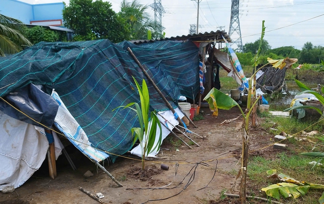 C&agrave; Mau: Chiếm đất n&ocirc;ng nghiệp tr&aacute;i ph&eacute;p bị xử phạt 105 triệu đồng - Ảnh 2.