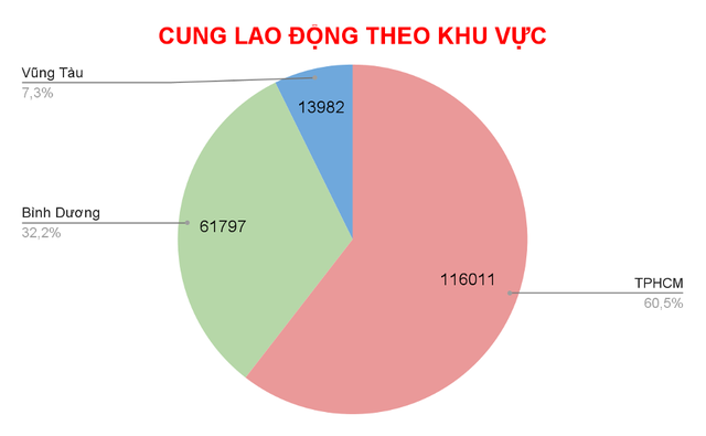 Thị trường việc l&agrave;m ở TP.HCM sau khi s&aacute;p nhập tỉnh th&agrave;nh năm qua ra sao? - Ảnh 1.