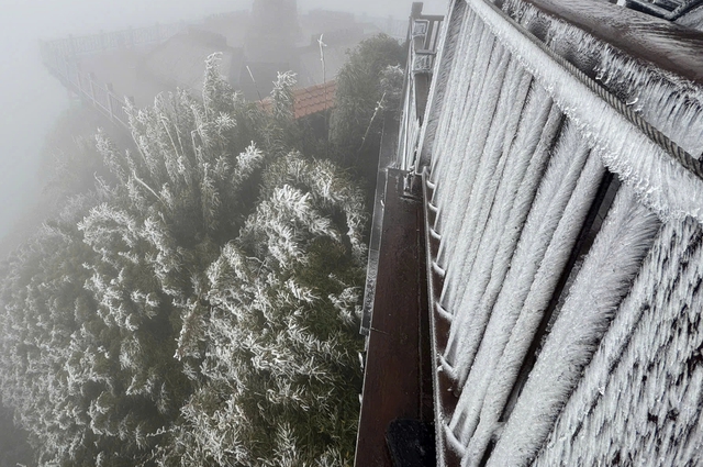 Thời tiết h&ocirc;m nay 8.1: Miền Bắc, bắc Trung bộ ch&igrave;m trong r&eacute;t đậm, r&eacute;t hại - Ảnh 1.