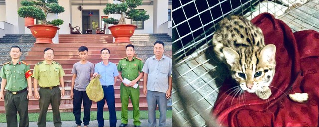 Đồng Nai: C&ocirc;ng an tuần tra, ph&aacute;t hiện động vật qu&yacute; hiếm b&ograve; tr&ecirc;n quốc lộ 13 - Ảnh 3.