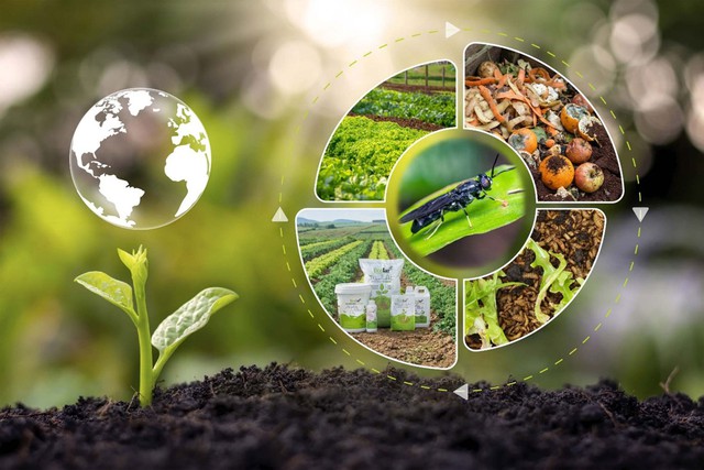 Phân bón này tạo thực phẩm sạch, giảm phát thải khí nhà kính, bảo vệ môi trường - Ảnh 1.