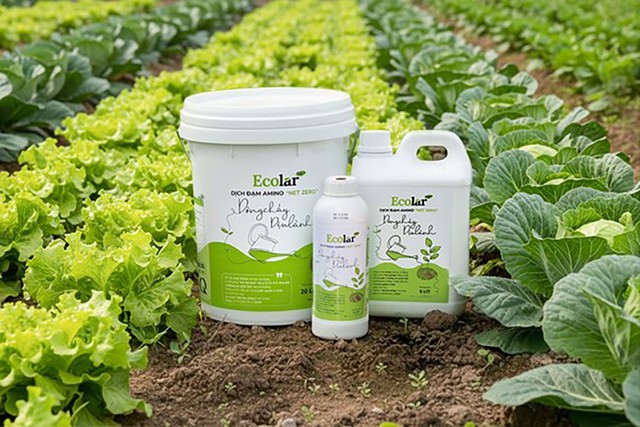 Phân bón này tạo thực phẩm sạch, giảm phát thải khí nhà kính, bảo vệ môi trường - Ảnh 4.