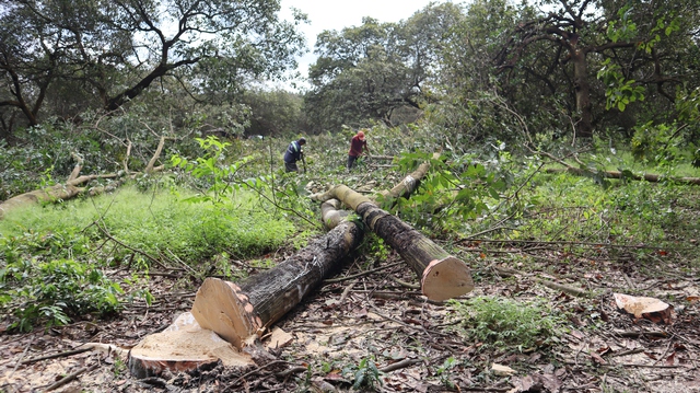 Cao tốc Gia Nghĩa - Chơn Th&agrave;nh về đ&iacute;ch 'Chiến dịch Quang Trung'- Ảnh 1.