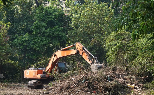 TP.HCM tổng r&agrave; so&aacute;t đất bỏ trống để tạo mảng xanh đ&oacute;n tết - Ảnh 1.