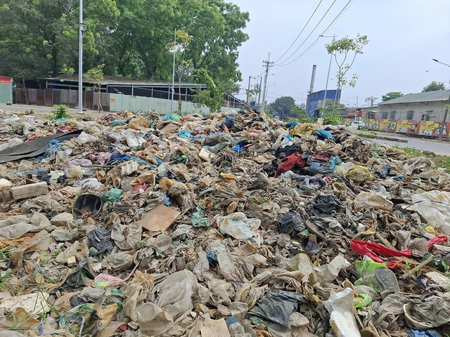 R&aacute;c tr&agrave;n lan b&ecirc;n bờ v&agrave; l&ograve;ng k&ecirc;nh Ti&ecirc;u- Ảnh 2.