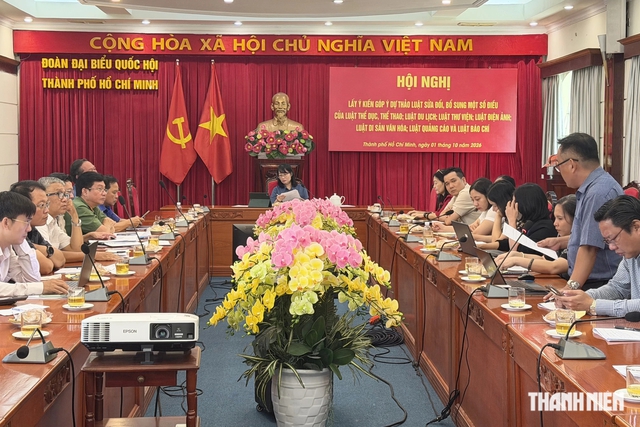 Góp ý sửa dự thảo luật ở TP.HCM: KOL, TikToker bán tour du lịch công khai gì? - Ảnh 2.