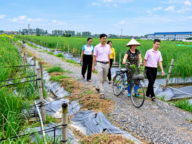 Tiếp vốn chính sách để an gia, lập nghiệp - Ảnh 2.