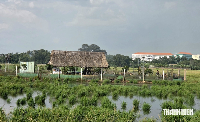 Người dân có thể mượn lối đi để làm thủ tục tách thửa đất - Ảnh 2.
