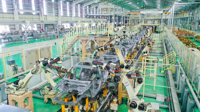 Xây dựng các 'sếu đầu đàn' Việt Nam vươn tầm quốc tế - Ảnh 3.
