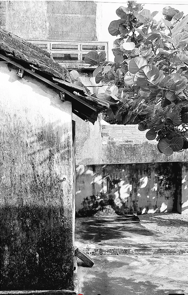 Triển lãm 'Thiên di': Những khoảnh khắc hữu hạn qua ảnh đen trắng- Ảnh 1.