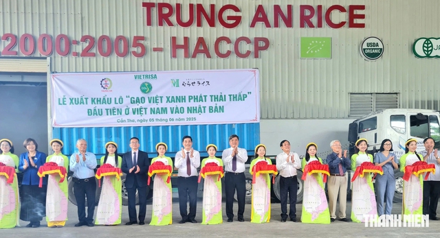 Rộn ràng trên 'đường đua xanh' - Ảnh 2.