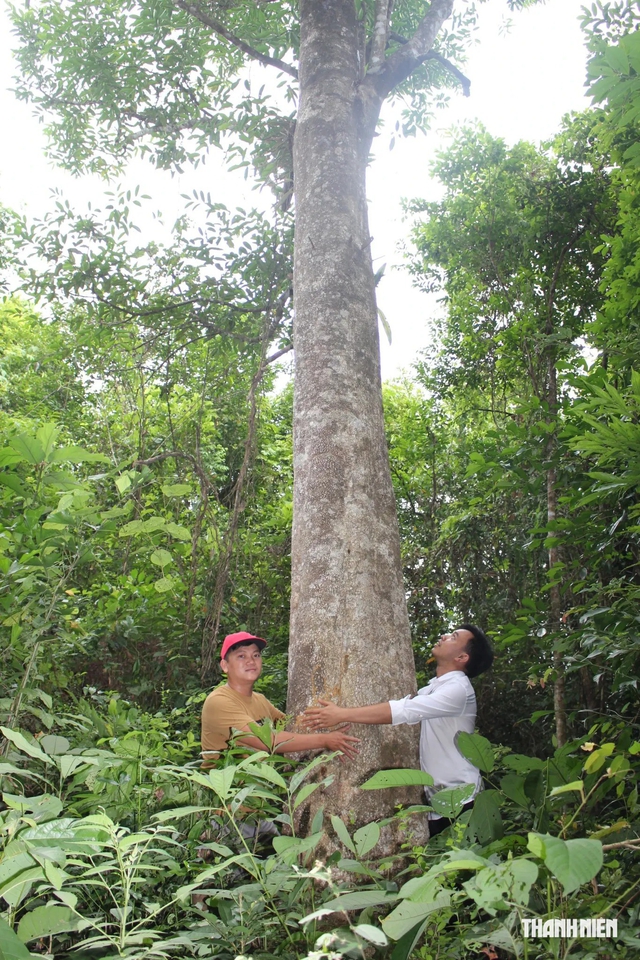Ti&ecirc;n Phước, thủ phủ trầm hương đất Quảng, chuyện &lsquo;uy - linh&rsquo; của cha v&agrave; con- Ảnh 8.