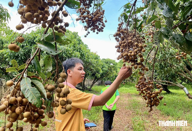 Thêm sức sống cho nông sản và làng quê Việt - Ảnh 4.