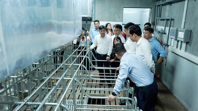 BAF Việt Nam: Đầu tư giáo dục thực tiễn, kiến tạo sinh kế bền vững- Ảnh 2.